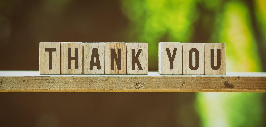 Sie sehen den Schriftzug "Thank you" auf einer Holzstande vor grünem Hintergrund.