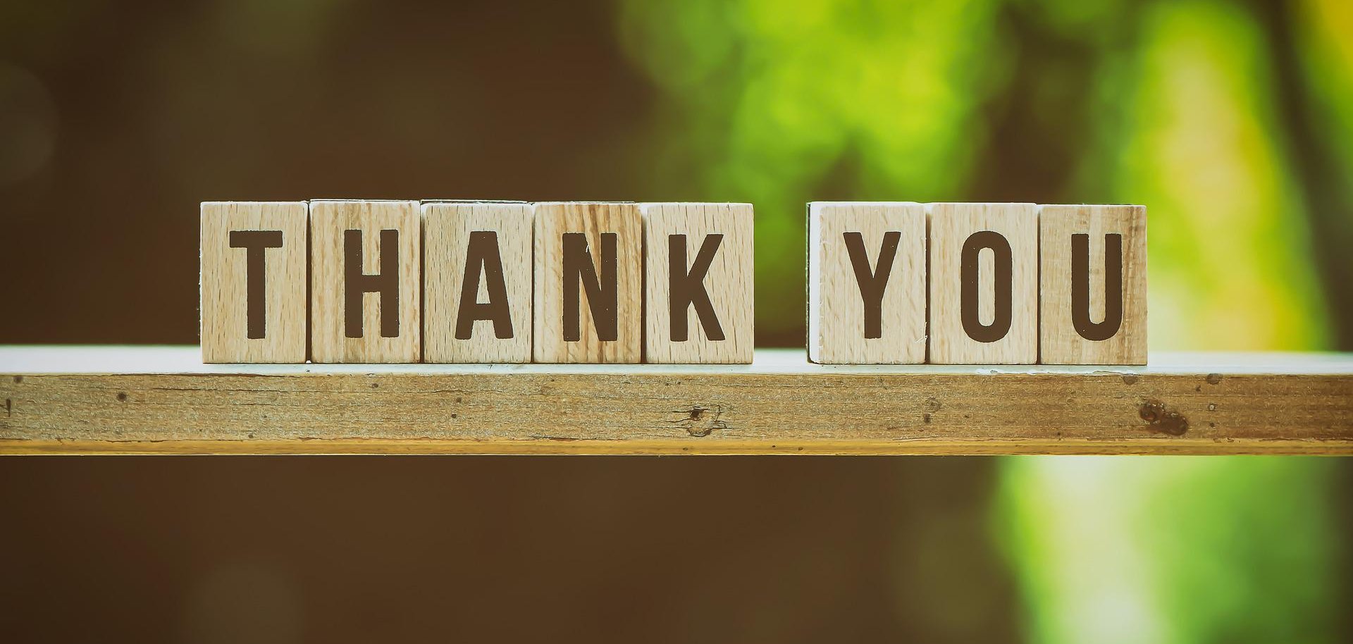 Sie sehen den Schriftzug "Thank you" auf einer Holzstande vor grünem Hintergrund.