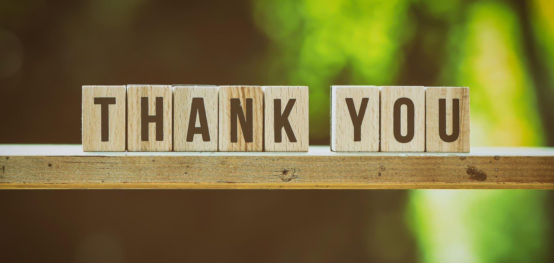 Sie sehen den Schriftzug "Thank you" auf einer Holzstande vor grünem Hintergrund.