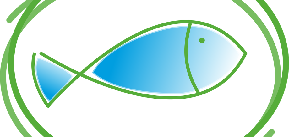 Sie sehen die Zeichnung eines blauen Fisches mit grünem Kreis darum.