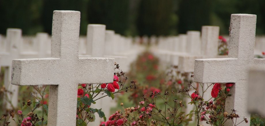 Sie sehen mehrere weiße Steinkreuze umringt von roten Blumen.