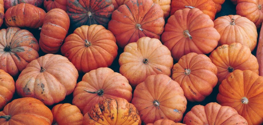 Hier sehen Sie ein Bild von Kürbissen.