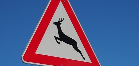 Wildwechsel Hier sehen Sie ein Bild von einem Verkehrsschild, welches vor Wildwechsel warnt.