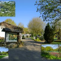 Sie sehen eine Fotocollage mit Aufnahmen des Campingplatzes Bergwinkel in Hosenfeld.
