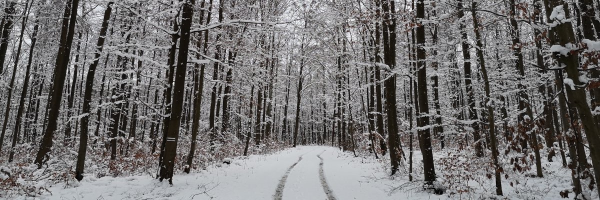 Landschaftsaufnahme der Gemeinde Hosenfeld