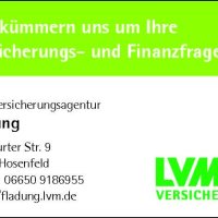 Hier sehen Sie das Logo der LVM Versicherungsagentur in Hosenfeld.